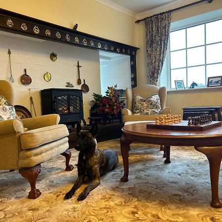 Lucy Cross Guest House 外观 照片